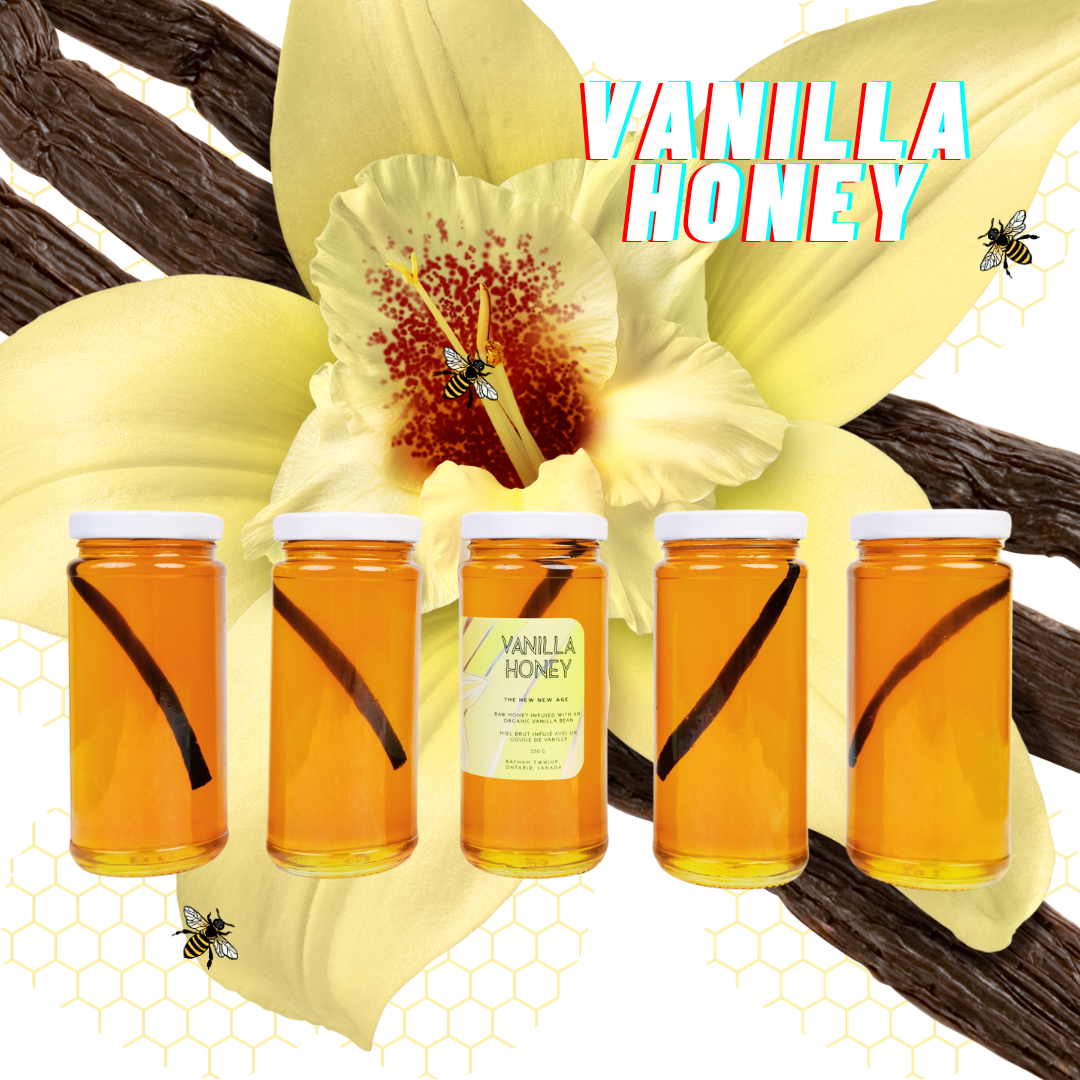 VANILLA HONEY